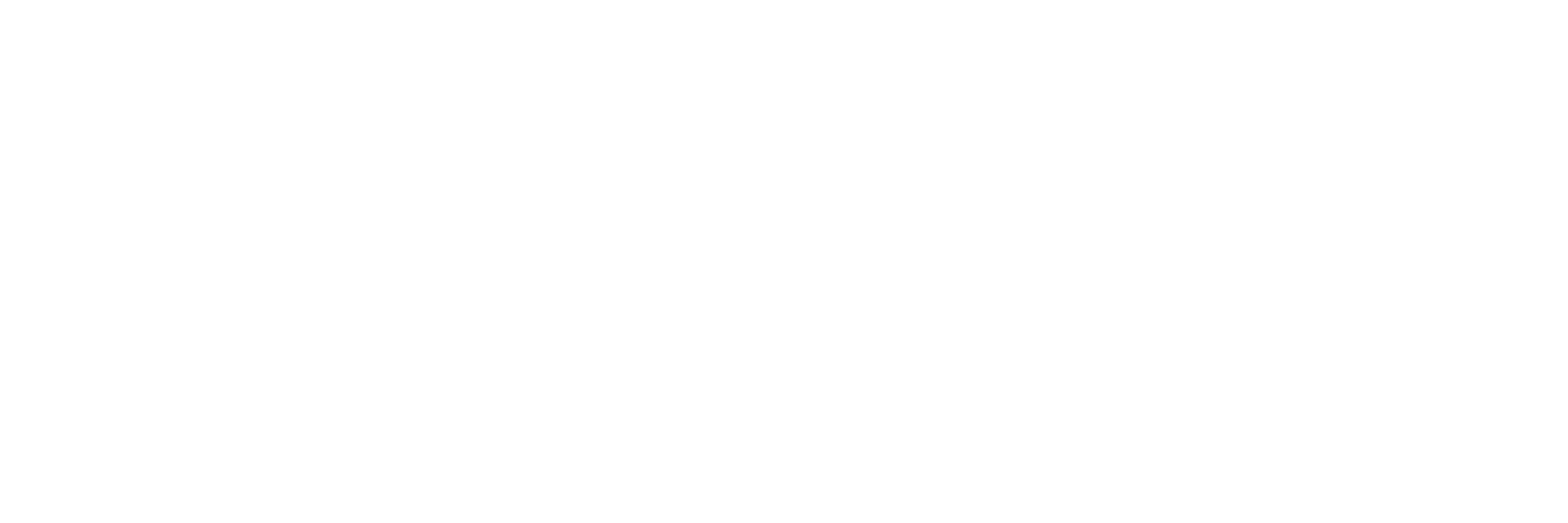 Apoyocon100t